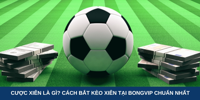 Cược xiên là gì? Cách bắt kèo xiên tại Bongvip chuẩn nhất