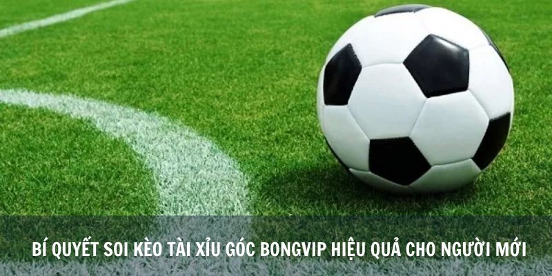 Bí Quyết Soi Kèo Tài Xỉu Góc Bongvip Hiệu Quả Cho Người Mới